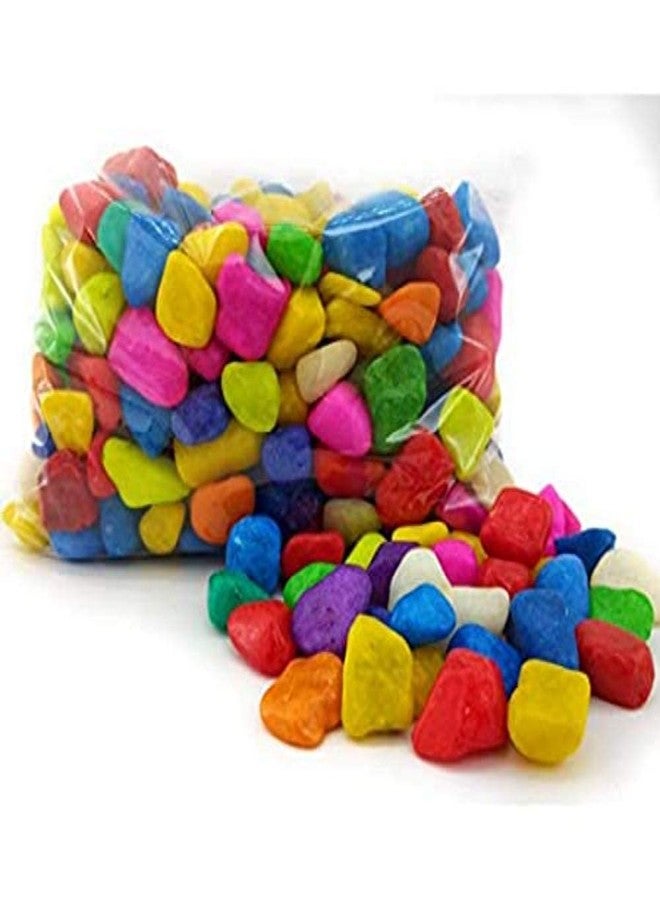 PlantaZee Colourful Glossy Pebbles Stones | Decorative Garden Aquarium & Outdoor Decoration(Multicolour, 1 Kg) - Image 3